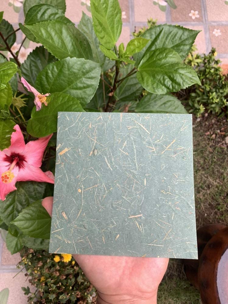 50 Sheets 6 x 6 Inches Square Origami Paper Arts Folding Craft, Decoration Paper, Square Folding Paper DIY Crafts (Mixed Green)