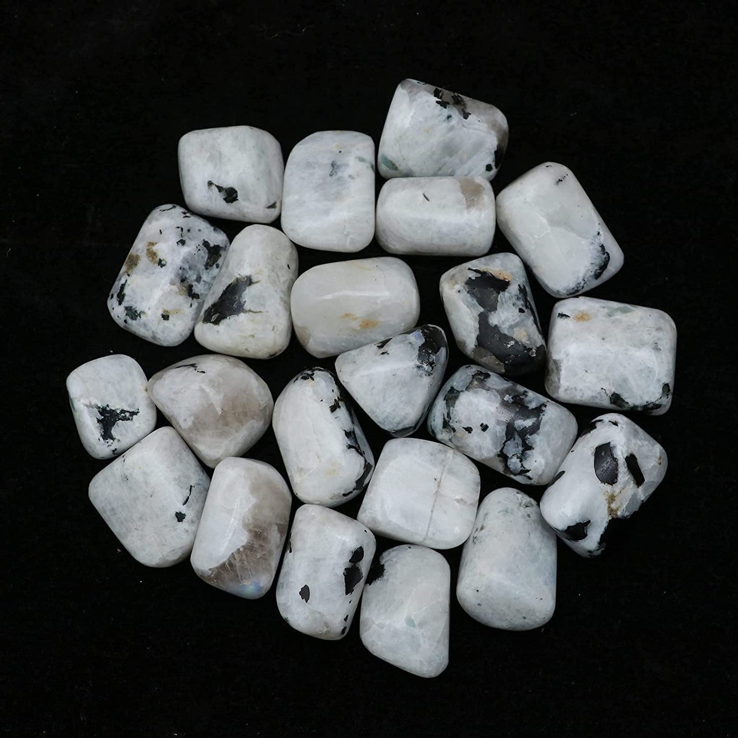 Zaicus 1lb Iolite Tumbled Stones |Natural Stones | Home Decor | Size 20-25 mm