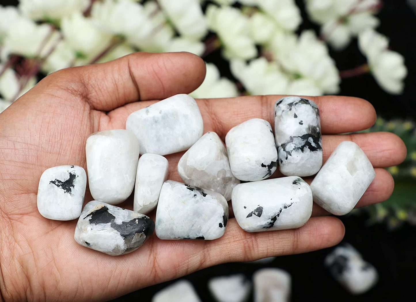 Zaicus 1lb Iolite Tumbled Stones |Natural Stones | Home Decor | Size 20-25 mm