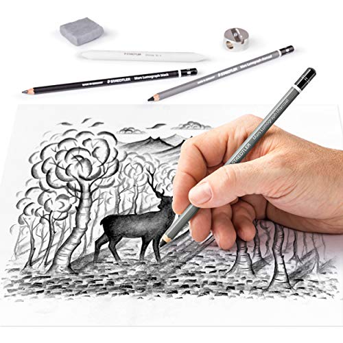 Staedtler Mars Lumograph Art Set | Drawing Kit with Charcoal and Graphite Drawing Pencils, Blending Stump, Kneadable Eraser and Dual Hole Sharpener 61 100C