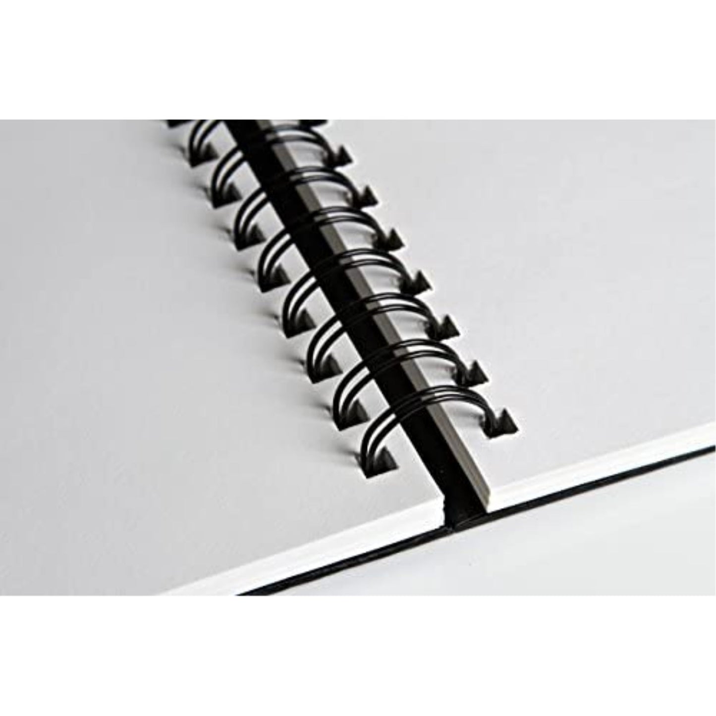 Canson Artist Series Wirebound Sketch Book, 80 Sheets, 9" x 12"