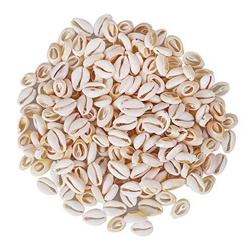 Natural Strong Cowrie Shell Beads