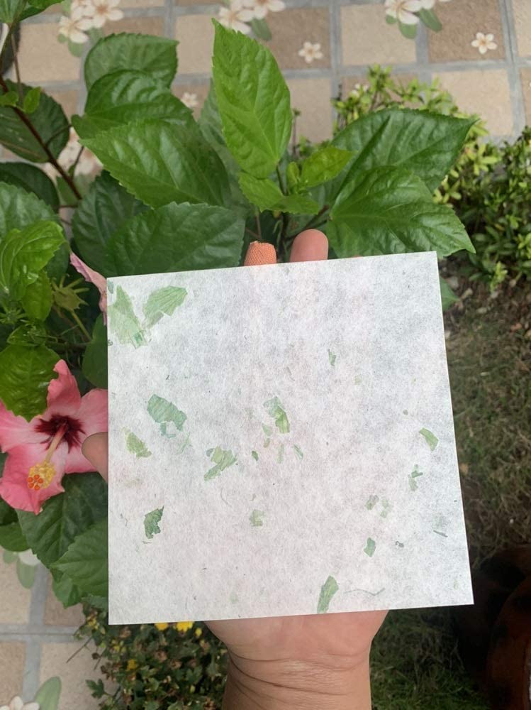 50 Sheets 6 x 6 Inches Square Origami Paper Arts Folding Craft, Decoration Paper, Square Folding Paper DIY Crafts (Mixed Green)