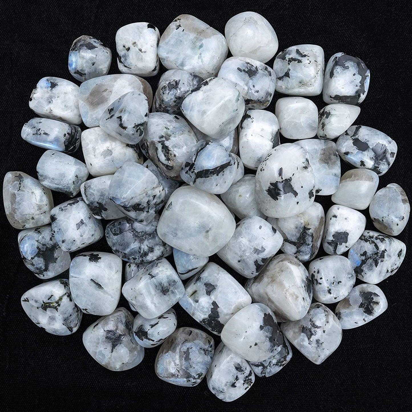 Zaicus 1lb Iolite Tumbled Stones |Natural Stones | Home Decor | Size 20-25 mm