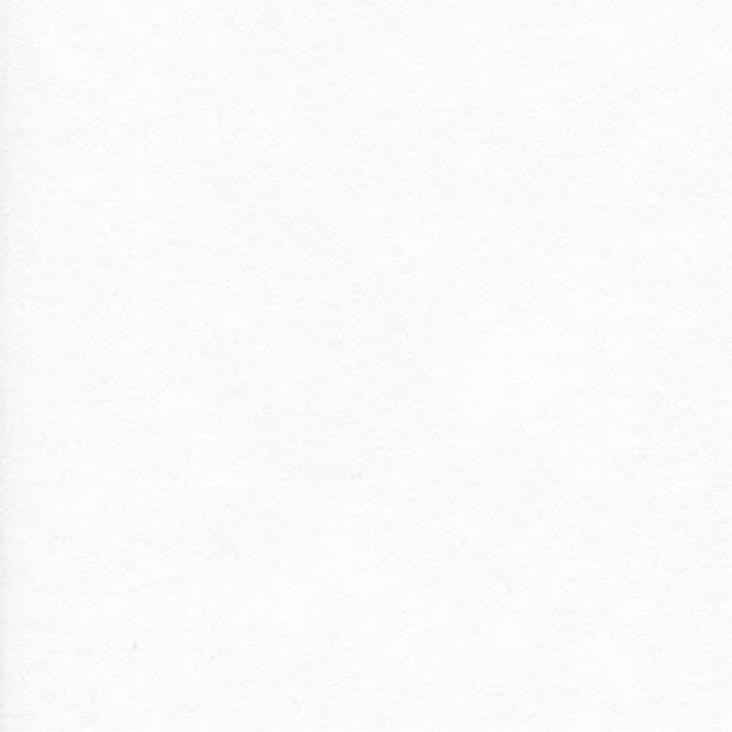 Canson Artist Series Wirebound Sketch Book, 80 Sheets, 9" x 12"